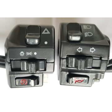 Left-right switch combination ZH 125